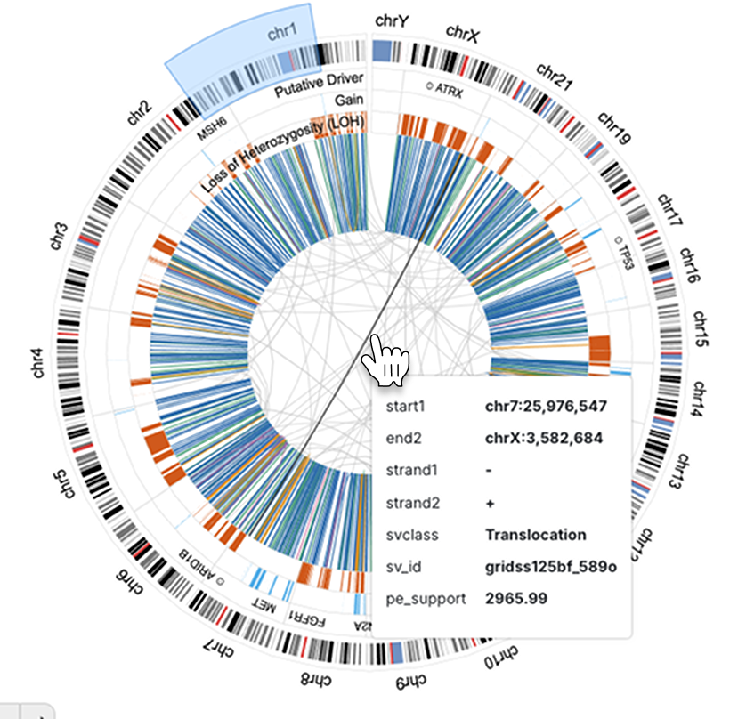 Cursor hovering over structural variant in Genome View.