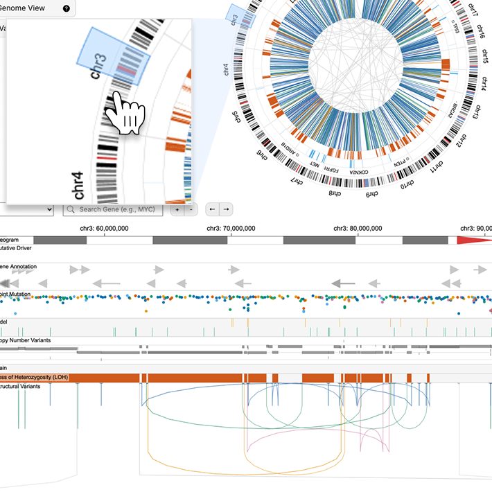 Cursor adjusting brush on the Genome View.
