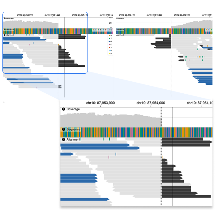 Variant view track with structural variant selected.