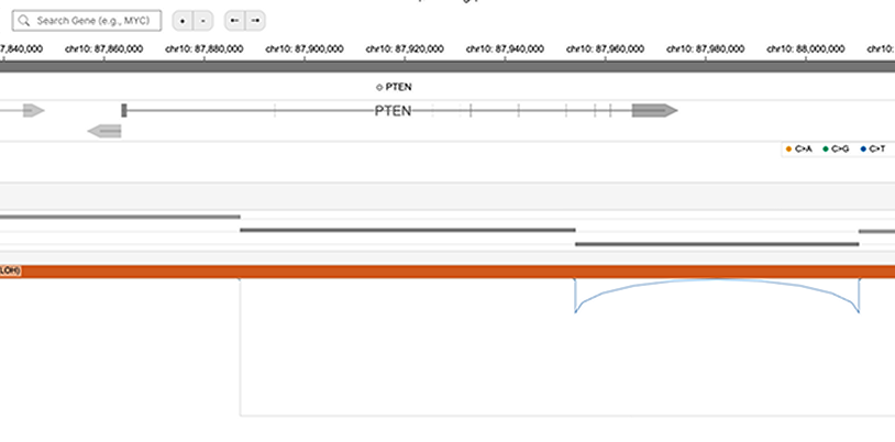 Variant view tracks.
