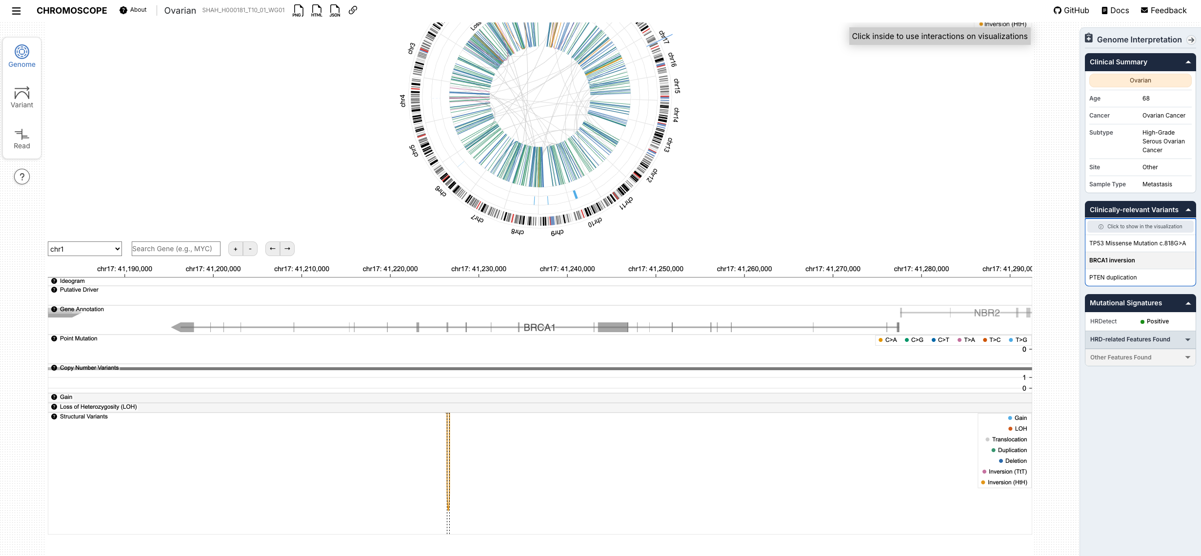 Interactive highlighting is also available for structural variants