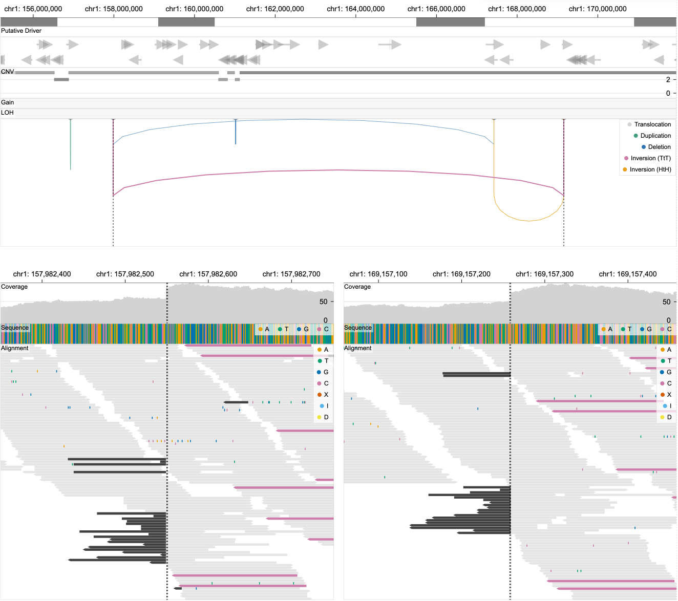 Variant View and Breakpoint View